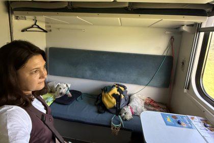 подорож з собакою поїздом