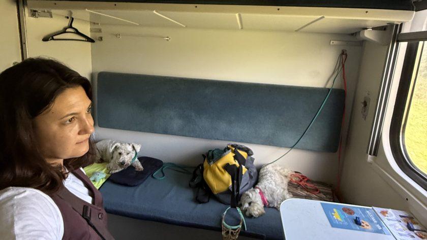 подорож з собакою поїздом