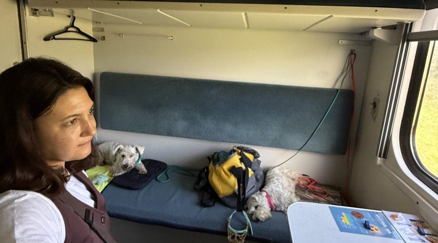 подорож з собакою поїздом