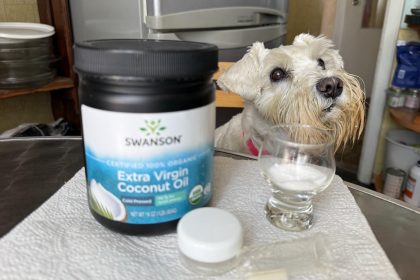 як чистити зуби собаці