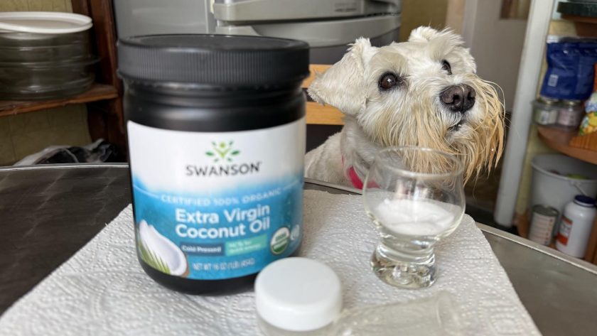 як чистити зуби собаці