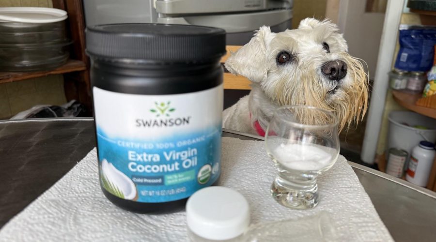 як чистити зуби собаці