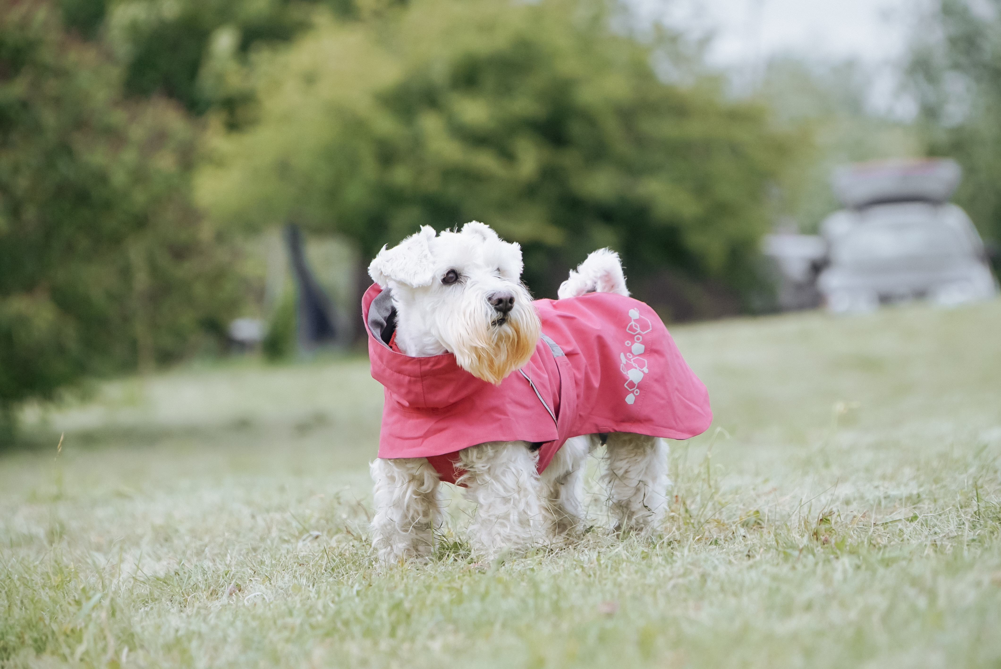 Дощовик для цвергшнауцера Hurtta Monsoon coat II ECO 