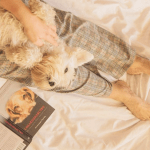 Собакознавство: що бачать і відчувають собаки