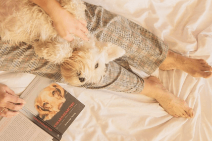 Собакознавство: що бачать і відчувають собаки