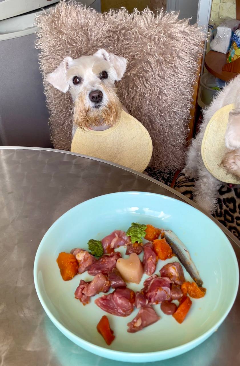 сира натуралка для собак