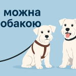 Чи можна з собакою