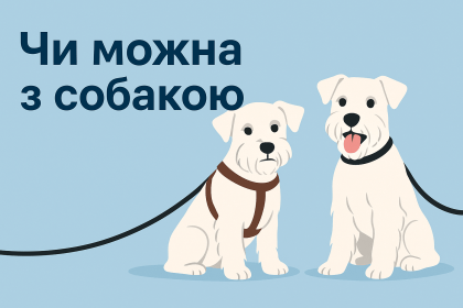 Чи можна з собакою