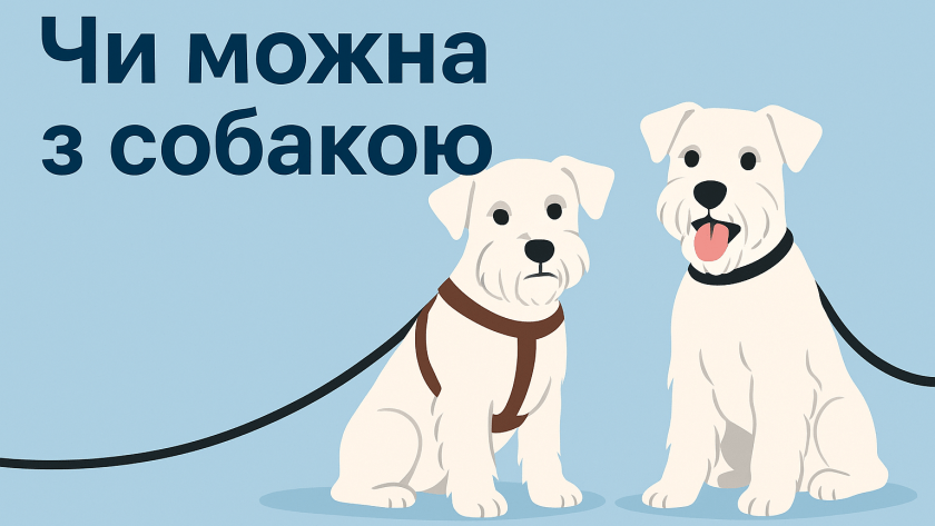 Чи можна з собакою