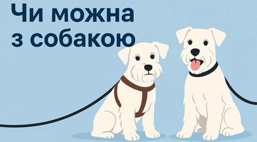 Чи можна з собакою