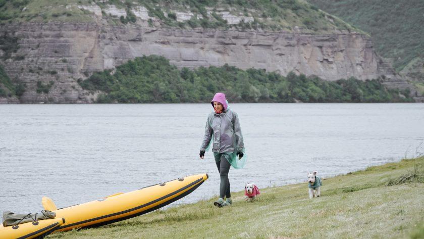 Блог про свідоме життя з собаками