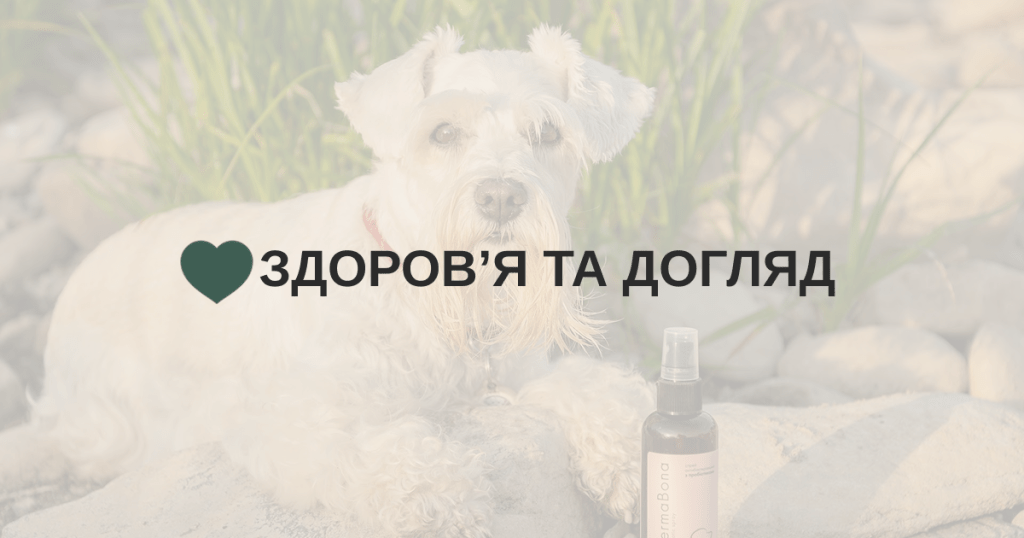 Здоровʼя та догляд