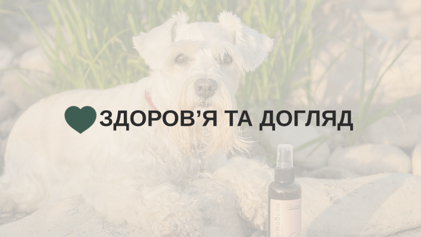 Здоровʼя та догляд