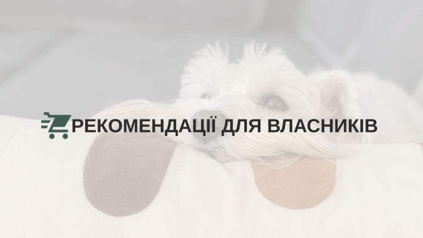 Рекомендації для власників