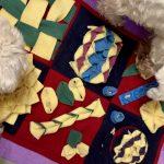 Собаки виконують нюхові завдання на нюхальному килимку — приклад ментального навантаження в домашніх умовах