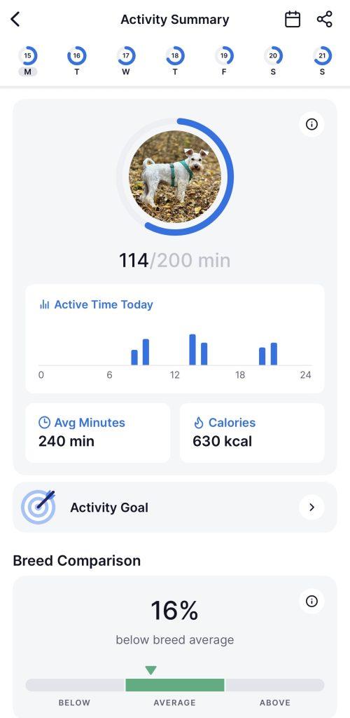 Моніторинг активності собаки з трекером Tractive DOG 6 