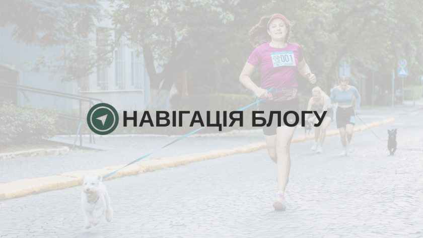 Навігація по блогу