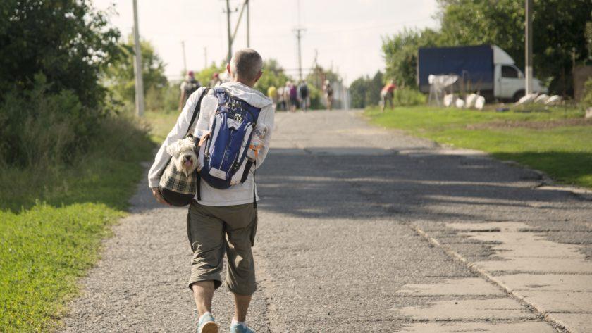 груповий тур з собакою
