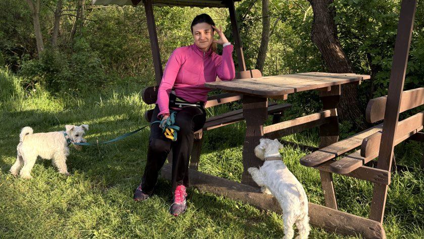 як заслужити довіру собаки