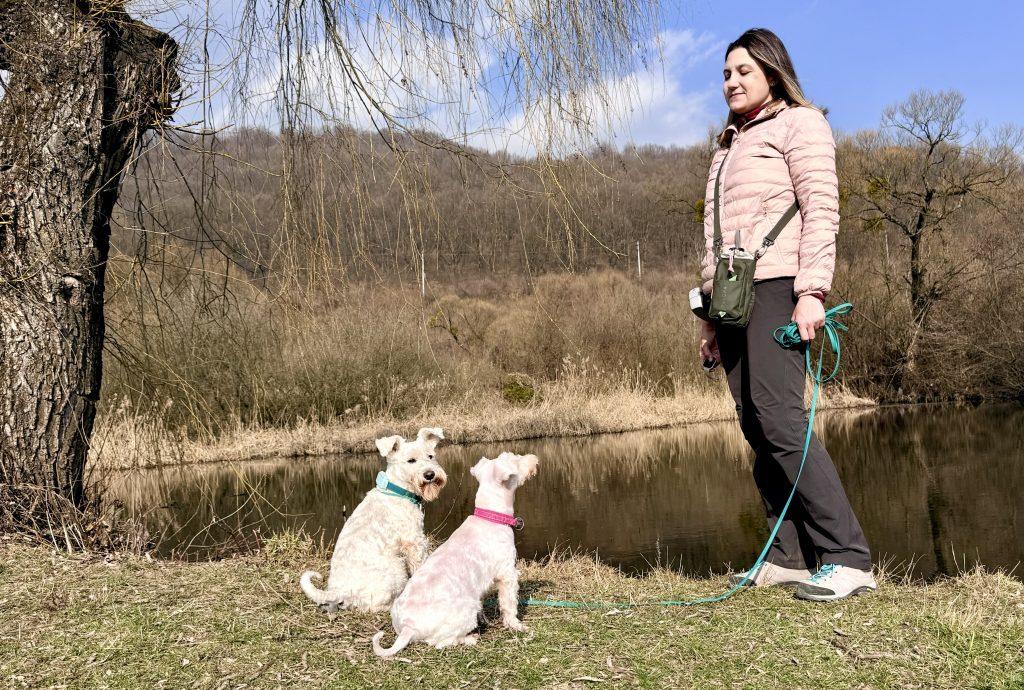 Сумка-термос для прогулянок з собакою Palopa Boudi 