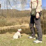 Сумка-термос для прогулянок з собакою Palopa Boudi